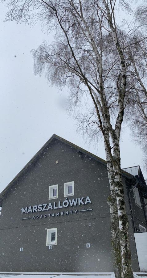 Apartamenty Marszallowka Дембкі Екстер'єр фото